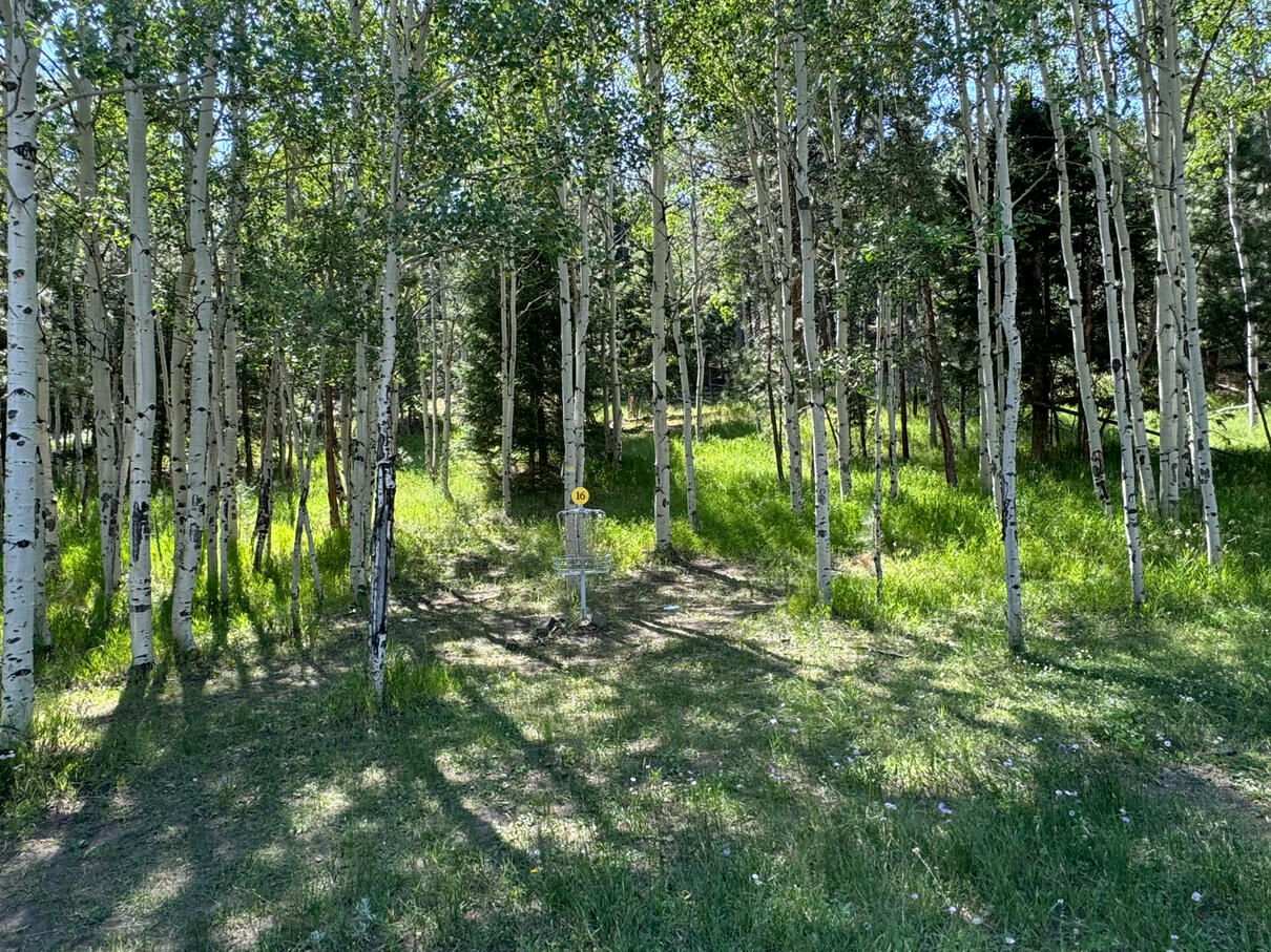 Bear Mountain Hole 16, Bailey CO